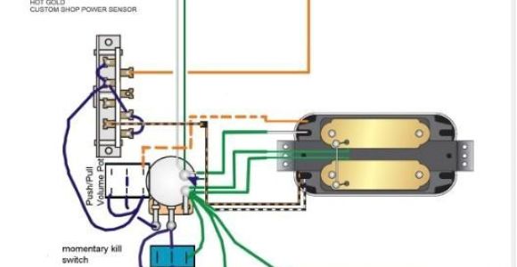 Telecaster Plus Wiring Diagram Tbx Wiring Tele Wiring Diagram Technic