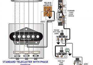 Telecaster Wiring Diagram Seymour Duncan Wiring Diagrams with Images Gitary Elektryczne Gitara