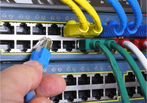 Telephone Patch Panel Wiring Diagram Patch Cable Types and Uses