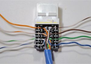 Telephone Wall Jack Wiring Diagram Category 5 Wiring Phone Jack Wiring Diagram Can