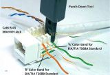 Telephone Wall Plate Wiring Diagram Free Download Jack Wiring Online Manuual Of Wiring Diagram