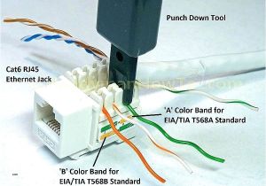 Telephone Wall Plate Wiring Diagram Free Download Jack Wiring Online Manuual Of Wiring Diagram