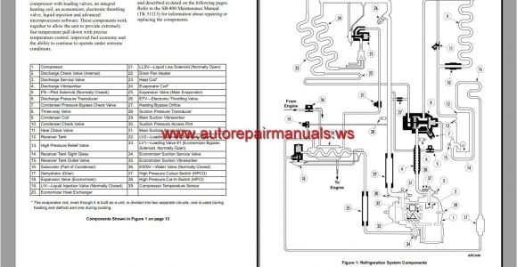 Thermo King Alternator Wiring Diagram thermo King Models Service Manual Auto Repair Manual forum Heavy