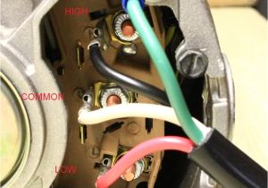 Thermospa Wiring Diagram Replacement for 1016174 10 16 174 Hot Tub Pump Ge Motor 1016025