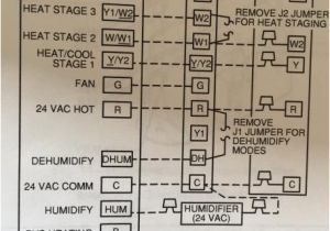 Thermostat Wiring Diagram Honeywell Honeywell thermostat Wiring Diagrams Wiring Diagram