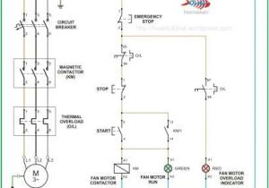 Three Phase Motor Wiring Diagrams Iec Motor Wiring Diagram Wiring Diagram Show Three Phase Motor Wiring Diagrams Iec Motor Wiring Diagram Wiring Diagram Show