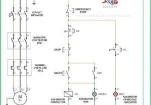 Three Phase Motor Wiring Diagrams Iec Motor Wiring Diagram Wiring Diagram Show