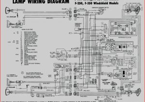 Three Phase Wiring Diagrams 2 Speed Motor Starter Wiring Diagram 3 Phase Starter Wiring Diagram Three Phase Wiring Diagrams 2 Speed Motor Starter Wiring Diagram 3 Phase Starter Wiring Diagram