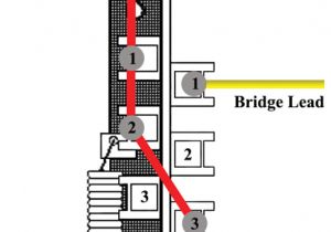 Three Way Switch Wiring Diagrams Telecaster 3 Way toggle Switch Wiring Diagram Wiring Diagram Blog