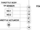 Throttle Body Wiring Diagram Drive by Wire Throttle Wiring Question Rx8club Com
