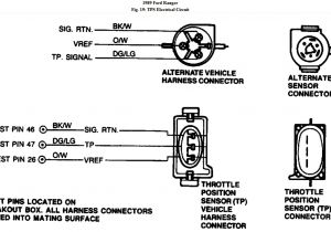 Throttle Position Sensor Wiring Diagram 19961998 Throttle Position Sensor Circuit Diagram Dodge 39l 52l Throttle Position Sensor Wiring Diagram 19961998 Throttle Position Sensor Circuit Diagram Dodge 39l 52l