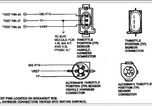 Throttle Position Sensor Wiring Diagram Throttle Position Sensor Wiring Harness Wiring Diagram Fascinating