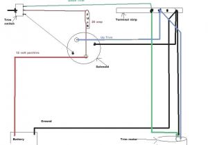 Tilt and Trim Switch Wiring Diagram Mercury Switch Wiring G forcetransmissions Com Tilt and Trim Switch Wiring Diagram Mercury Switch Wiring G forcetransmissions Com
