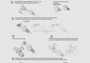 Tow Hitch Electrical Wiring Diagram Hitch Wiring Diagram Wiring Diagram