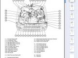Toyota 4runner Wiring Diagram 2001 toyota 4runner Engine Diagram Wiring Diagrams Bib