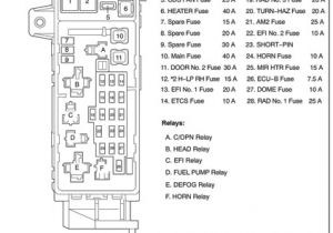 Toyota Hilux Wiring Diagram 2008 toyota Hilux Fuse Box Wiring Diagram Autovehicle Toyota Hilux Wiring Diagram 2008 toyota Hilux Fuse Box Wiring Diagram Autovehicle