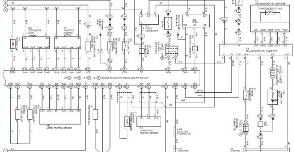 Toyota Prado Wiring Diagram Pdf Wiring Diagram toyota Prado Schema Wiring Diagram