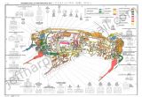 Toyota Wiring Diagram Abbreviations toyota Wiring Color Code Wiring Diagram Files