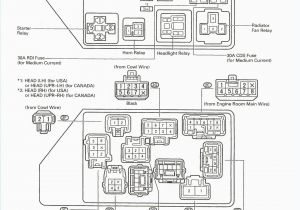 Toyota Wish Wiring Diagram toyota Fuse Box Circuit Wiring Diagram Autovehicle