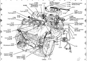 Tps Wiring Diagram 1999 Mustang Wiring Diagram Wiring Diagram Database