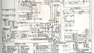 Tractor Dynamo Wiring Diagram Tractor Dynamo Wiring Diagram New Massey Ferguson 135 Wiring Diagram