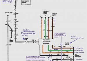 Trailer Connector Wiring Diagram 7 Wire Trailer Connector Diagram Wiring Diagram Meta Trailer Connector Wiring Diagram 7 Wire Trailer Connector Diagram Wiring Diagram Meta