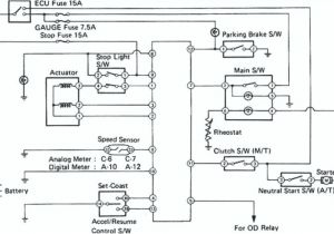 Trailer Emergency Brake Wiring Diagram Starcraft Trailer Wiring Diagram Wiring Diagram toolbox
