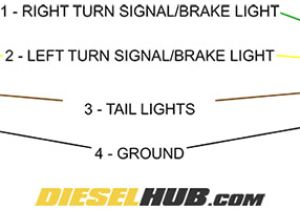 Trailer Light Diagram 4 Wire 4 Wire Connector Diagram Wiring Diagram Files