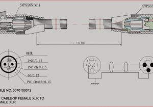 Trailer Wiring Diagram Trailer Plug Wiring Diagram 5 Way Ecourbano Server Info