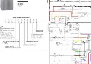 Trane Furnace thermostat Wiring Diagram Trane Wiring Diagram Book Diagram Schema Trane Furnace thermostat Wiring Diagram Trane Wiring Diagram Book Diagram Schema