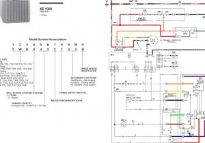 Trane Furnace thermostat Wiring Diagram Trane Wiring Diagram Book Diagram Schema