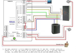 Trane Furnace thermostat Wiring Diagram Trane Xv95 Wiring Diagram Wiring Diagram Technicals