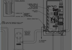 Transfer Switch Wiring Diagram Standby Generator Wiring Diagram Unique Portable Generator Transfer