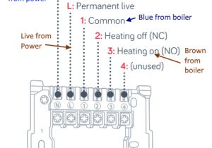 Traxxas Tqi Receiver Wiring Diagram Receiver Wiring Diagram Wiring Diagram