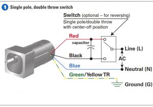Treadmill Motor Wiring Diagram 4 Wire Motor Diagram Wiring Diagram Article Review