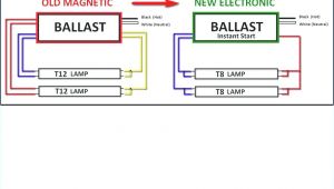 Tridonic Ballast Wiring Diagram T8 Ballast Diagram Data Wiring Diagram Preview