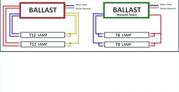 Tridonic Ballast Wiring Diagram T8 Ballast Diagram Data Wiring Diagram Preview