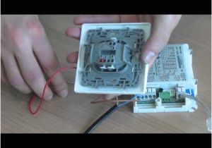 Tridonic Switch Dim Wiring Diagram Dali Driver Wiring Tutorial Youtube
