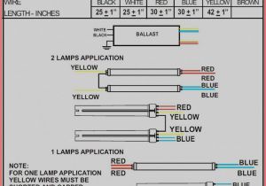 Tridonic Switch Dim Wiring Diagram Switch to Fluorescent Wiring Diagram Daylight Wiring Diagram