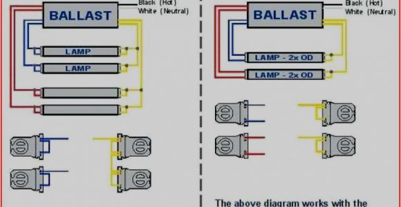 Tridonic Switch Dim Wiring Diagram Tridonic Switch Dim Wiring Diagram Tridonic Electronic Ballast