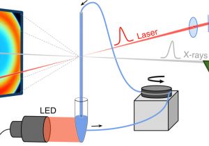 Triple S Customs Wiring Diagrams Light Induced Structural Changes In A Full Length Cyanobacterial Triple S Customs Wiring Diagrams Light Induced Structural Changes In A Full Length Cyanobacterial