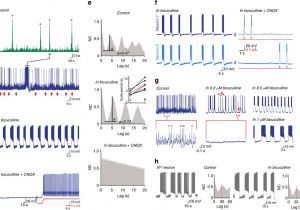 Triple S Customs Wiring Diagrams Neonatal Testosterone Suppresses A Neuroendocrine Pulse Generator Triple S Customs Wiring Diagrams Neonatal Testosterone Suppresses A Neuroendocrine Pulse Generator