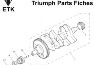 Triumph Sprint St 1050 Wiring Diagram Spare Parts Catalogues Sprint St 1050 Triumph Sprint St 1050 Wiring Diagram Spare Parts Catalogues Sprint St 1050