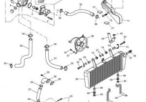Triumph Sprint St 1050 Wiring Diagram Wasserkuhler Sprint St 955i Bis Fin139276 Triumph Sprint St 1050 Wiring Diagram Wasserkuhler Sprint St 955i Bis Fin139276