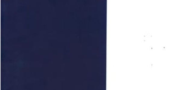 Triumph Sprint St 1050 Wiring Diagram Workshop Manual Triumph Tiger 1050 by Nicolas Z issuu