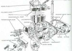 Triumph T120 Wiring Diagram Pin by John Pizzichemi On Explosions Triumph Motorcycle Parts