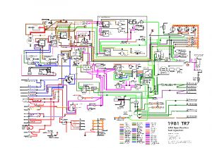 Triumph Tr7 Wiring Diagram Wiring Diagram for 75 Tr6 Wiring Diagram Show Triumph Tr7 Wiring Diagram Wiring Diagram for 75 Tr6 Wiring Diagram Show