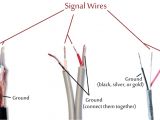 Trs Wiring Diagram Speaker Jack Wiring Connection Wiring Diagram Files