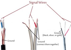 Trs Wiring Diagram Speaker Jack Wiring Connection Wiring Diagram Files