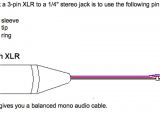 Trs Wiring Diagram Xlr Wiring Diagram Lable Wiring Library